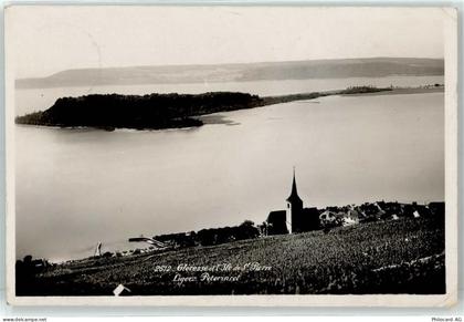 2514 Ligerz Gléresse - Peterinsel - 51834234