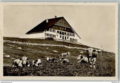 2610 St-Imier Saint-Imier Foto AK Hotel Cahsseral Kühe - 38021989