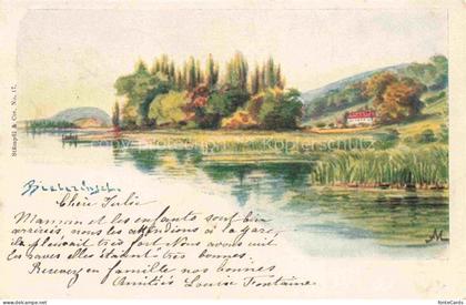 Bielerseeinsel Lac de Bienne BE Panorama