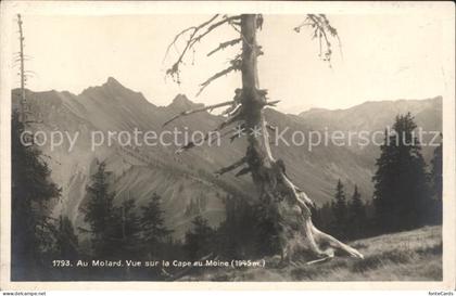 Cape au Moine Au Molard Vue sur la Cape au Moine