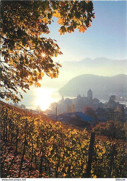 Carte Postale - Suisse - BE Berne - Spiez - Spiez et le lac de Thoune - CPM - Carte Neuve - Voir Scans Recto-Verso - Pos