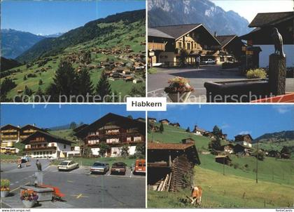 Habkern Brunnen Kuh