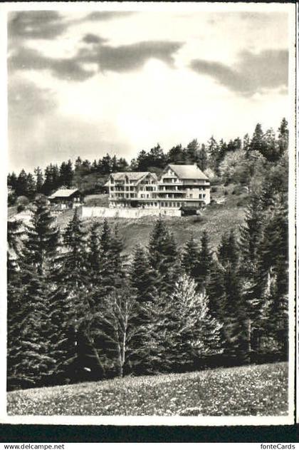 Heiligenschwendi gestempelt Heiligenschwendi Hotel Pension Haltenegg x 1962