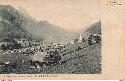 saanen mit rüblihorn * gessenay , bern berne * suisse schweiz