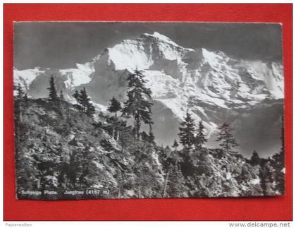 Gündlischwand (BE) - Schynige Platte Jungfrau
