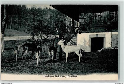 3432 Lützelflüh-Goldbach 1909 - Hirschpark Waldhaus - 10621939