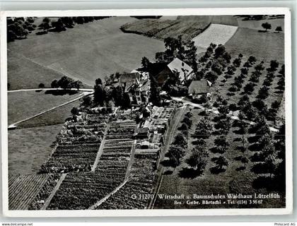 3432 Lützelflüh-Goldbach 1956 - Wirtschaft und Baumschulen Waldhaus-Lütz... - 13078020
