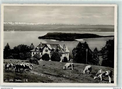 2515 Prêles - Kühe Hotel Pension de lOurs - 13149513