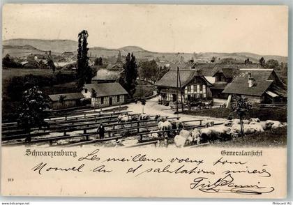 3150 Schwarzenburg 1905 - 13540364