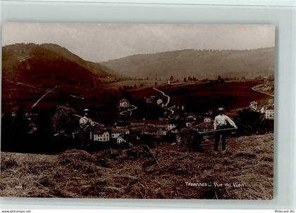 2710 Tavannes - Heuernte, Landwirtschaft, Vue du Vion, Verlag Perrochet-... - 13078360