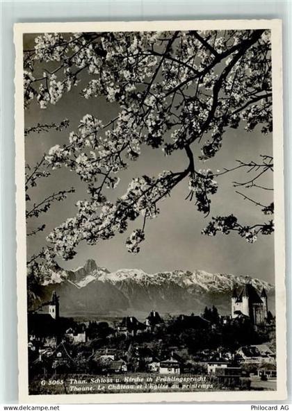3600 Thun - 10311690