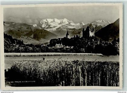 3600 Thun - 10311742