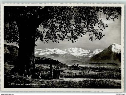 3600 Thun - 10311746