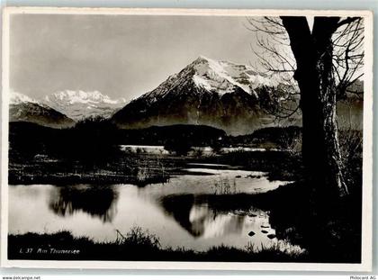 3600 Thun - 10311790
