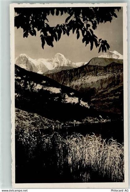 3600 Thun - 10311871