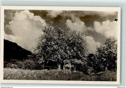 3600 Thun - 10311927