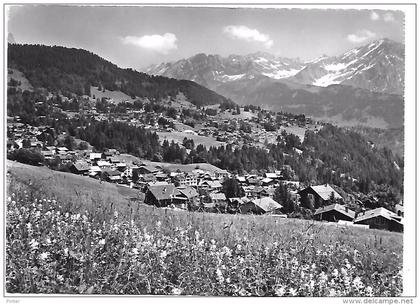 SUISSE - VILLARS CHESIERES - Vue générale et le Muveran
