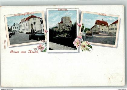 4147 Aesch BL - Schloss Schule - 13607068