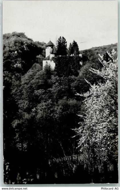 4144 Arlesheim - Schloss Birseck - 10305941