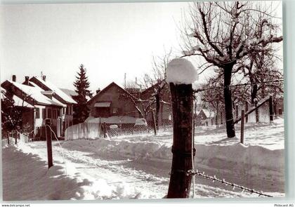 4402 Frenkendorf - Nübrig im Schnee - 39374909