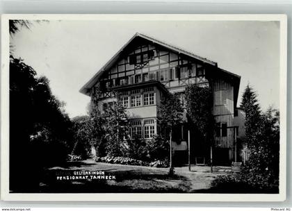4460 Gelterkinden 1930 Foto AK Pensionnat Tanneck - 13993841