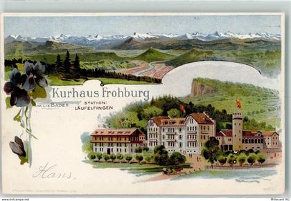 4448 Läufelfingen 1906 Lithographie Kurhaus Frohburg - 13414489