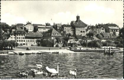 Murten Morat Murten