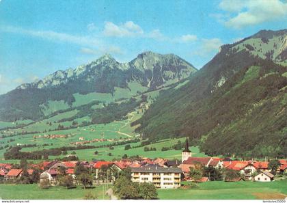 SUISSE grandvillard et estavannens vue générale