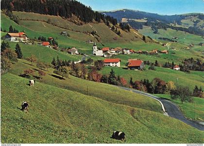 SUISSE cerniat vue générale