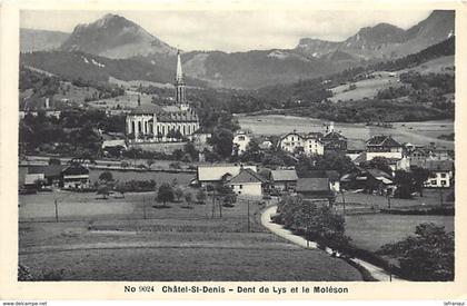 - suisse - ref D153- chatel saint denis - chatel st denis - dent de lys et le moleson - carte bon etat -