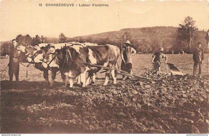 SUISSE - Grangeneuve - Labour d automne - Bœufs - Charrue - Animé - CPA