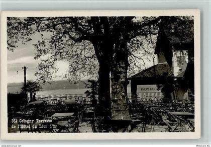 1223 Cologny - Terrasse de lHotel du Lion dOr - 11059195