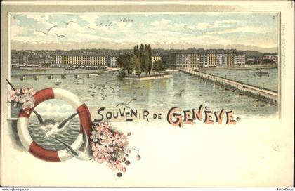 Geneve GE Bruecke Voegel