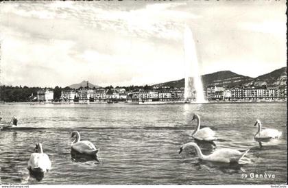 Geneve GE Schwan