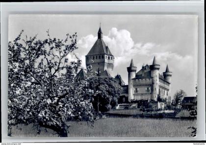 Versoix Schloss de Vufflens