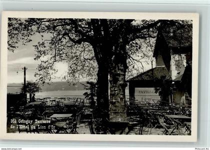 1200 Genève Genf - Cologny Terrasse de lHôtel du Lion dOr - 12115149