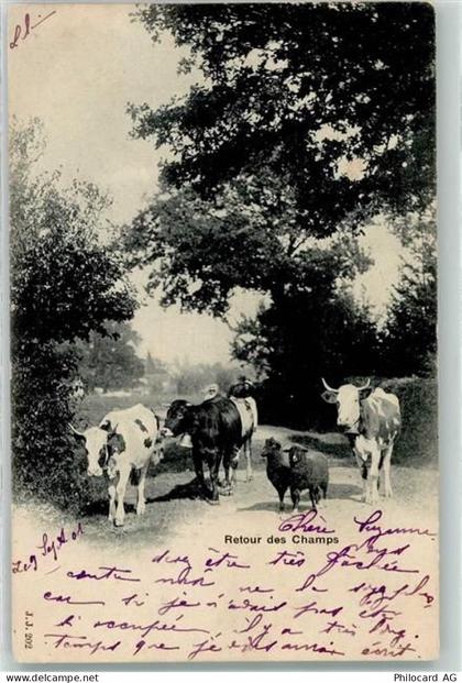 1213 Petit-Lancy Lancy 1901 - Retour de Champs Ort lt. Stempel - 10614314