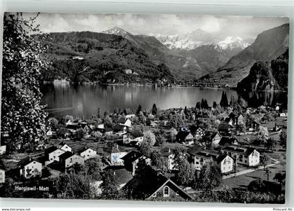 8766 Matt - 39697439