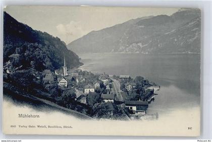 8874 Mühlehorn - Walensee - 50573860