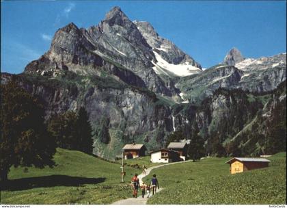Braunwald GL Braunwald