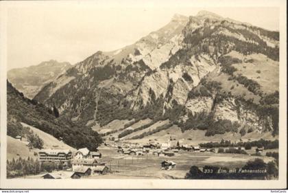 Elm GL Elm Fahnenstock