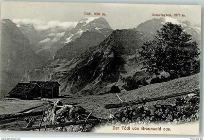 8784 Braunwald - 10203814