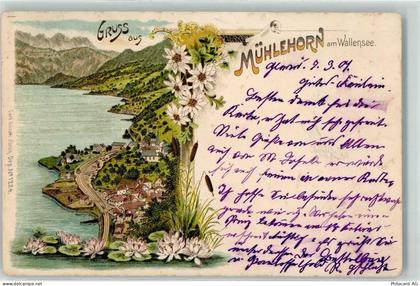 8874 Mühlehorn 1901 - 13607488