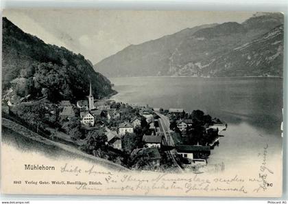 8874 Mühlehorn 1905 - 10592759