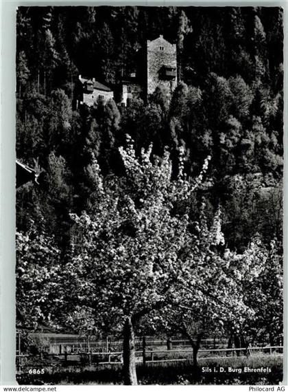 7411 Sils im Domleschg - Ehrenfels - 10390641