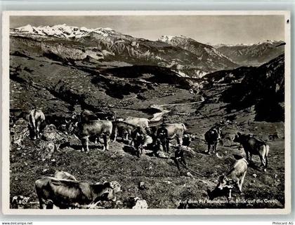 Piz Mundaun - Piz Mundaun mit Blick auf die Grueb Kühe - 10157092