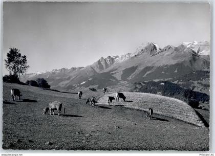 7134 Obersaxen Meierhof - Breigelser Hörner - 51422202