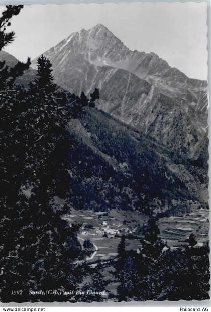 7542 Susch - Piz Linard - 50772653