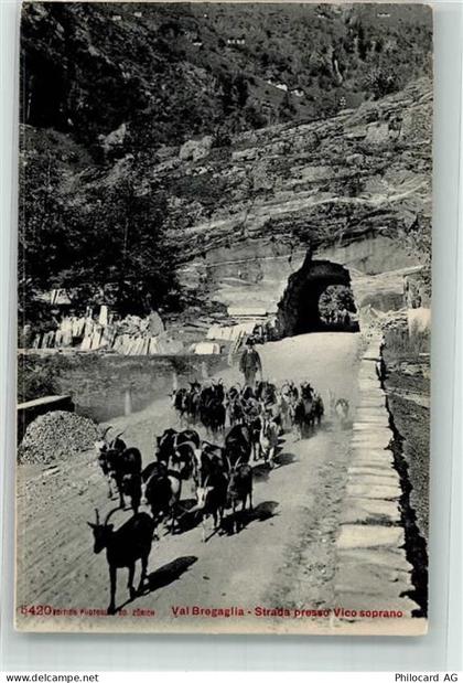 7603 Vicosoprano - Ziege Strada presso Vico soprano - 10696306