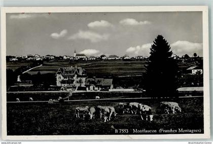 13149235 - Montfaucon